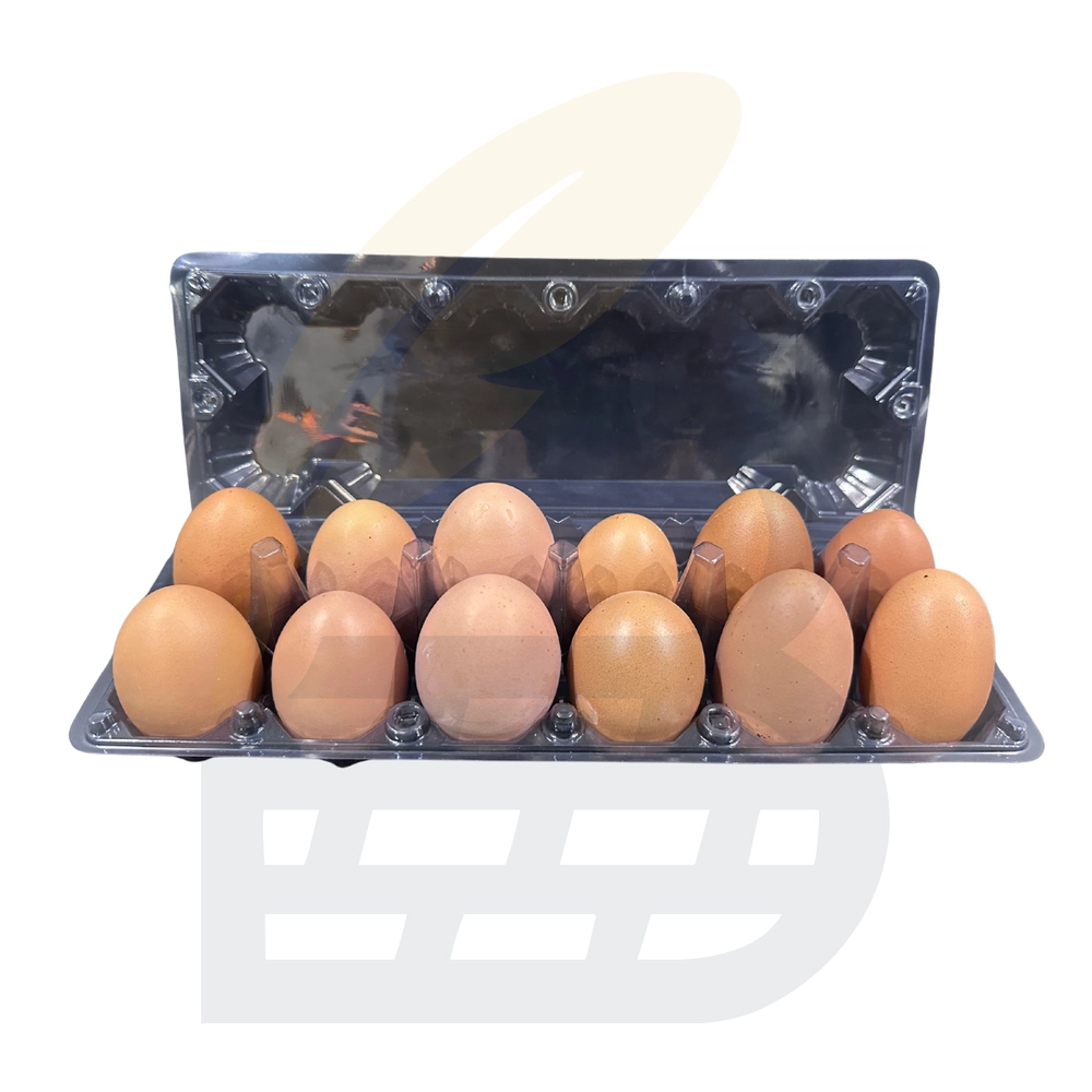 12-pcs-double-yolk-brown-eggs