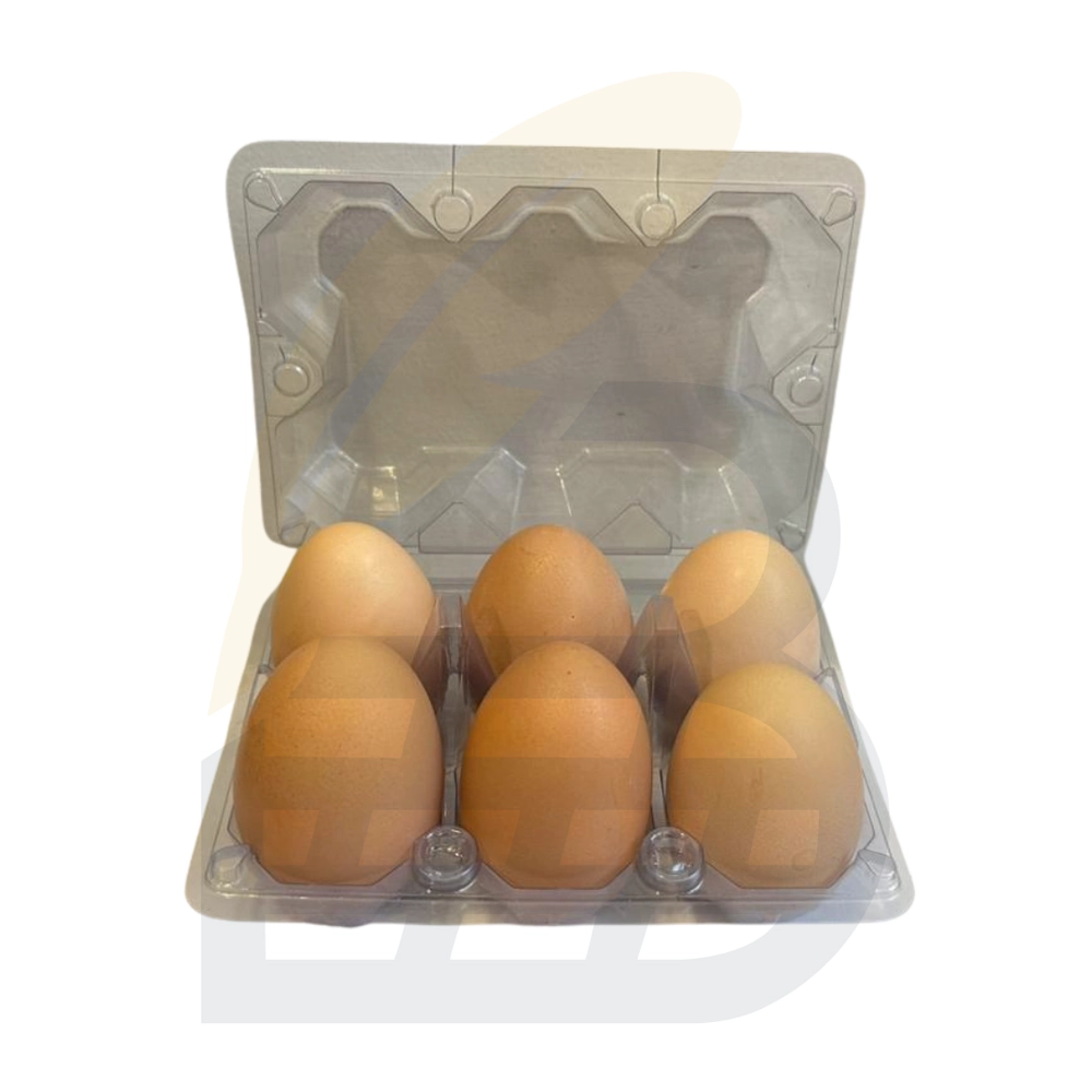 double-yolk-6pcs-eggs
